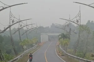 Kabut Asap Tanjungpinang